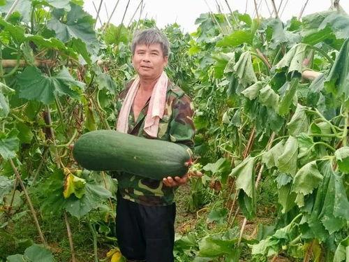 吃瓜劲爆免费,吃瓜劲爆,免费大放送! 第3张 吃瓜劲爆免费,吃瓜劲爆,免费大放送! 第3张