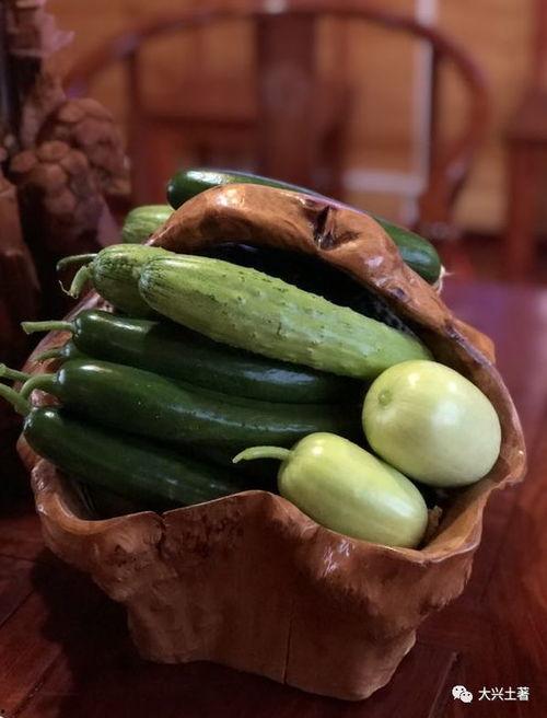 网红免费吃瓜视频,揭秘幕后真相与娱乐效应  第3张